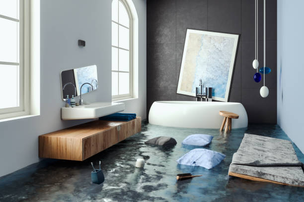 Best 24-hour water damage restoration  in South Elgin, IL