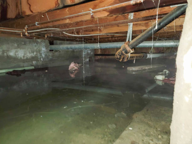 Best Fire Damage Restoration  in South Elgin, IL